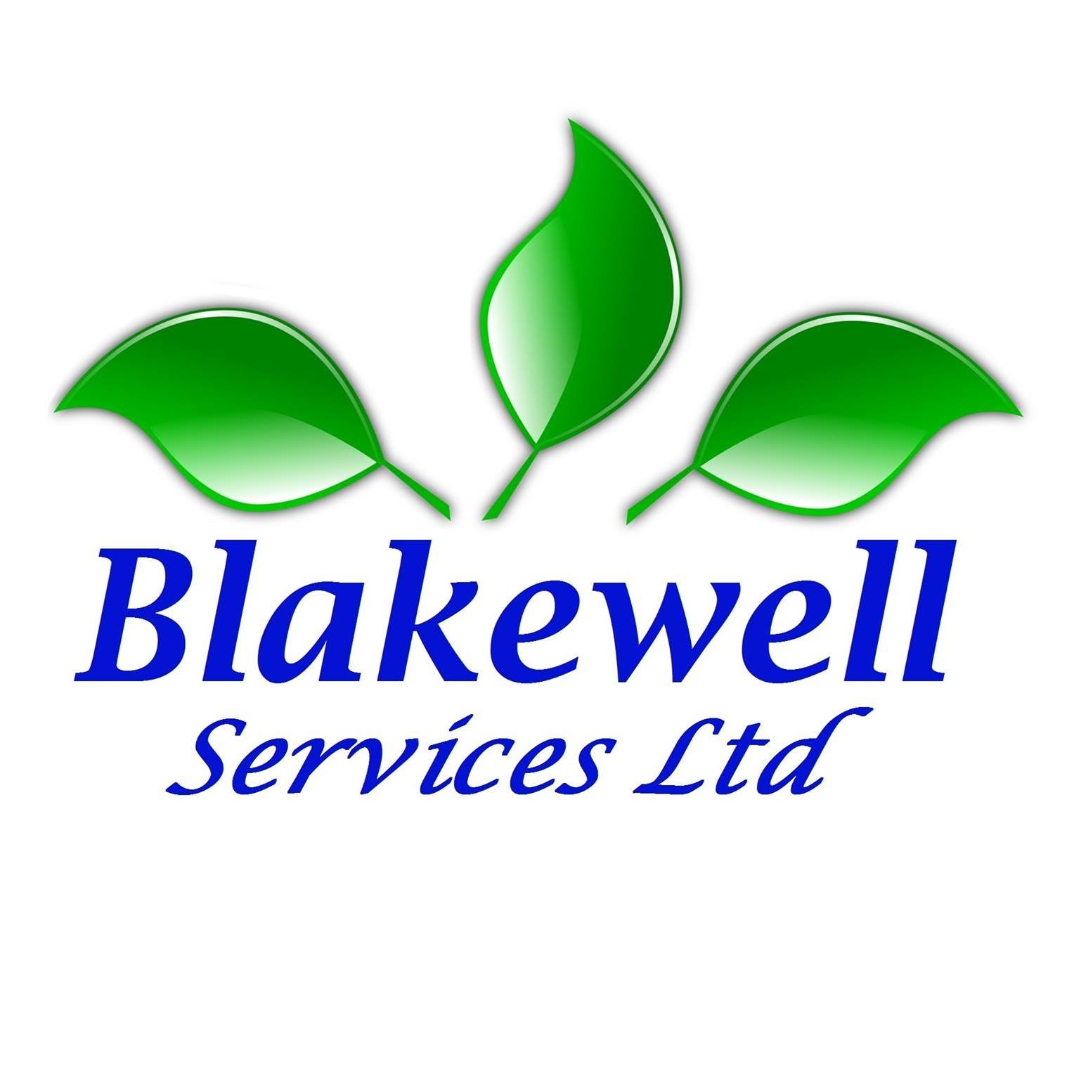 Blakewell Services Ltd Open Event . Friday 17th and Saturday 18th of March 2023.